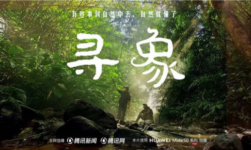 去雨林深处，听大象长吟，自然纪录片《寻象》正式上线！